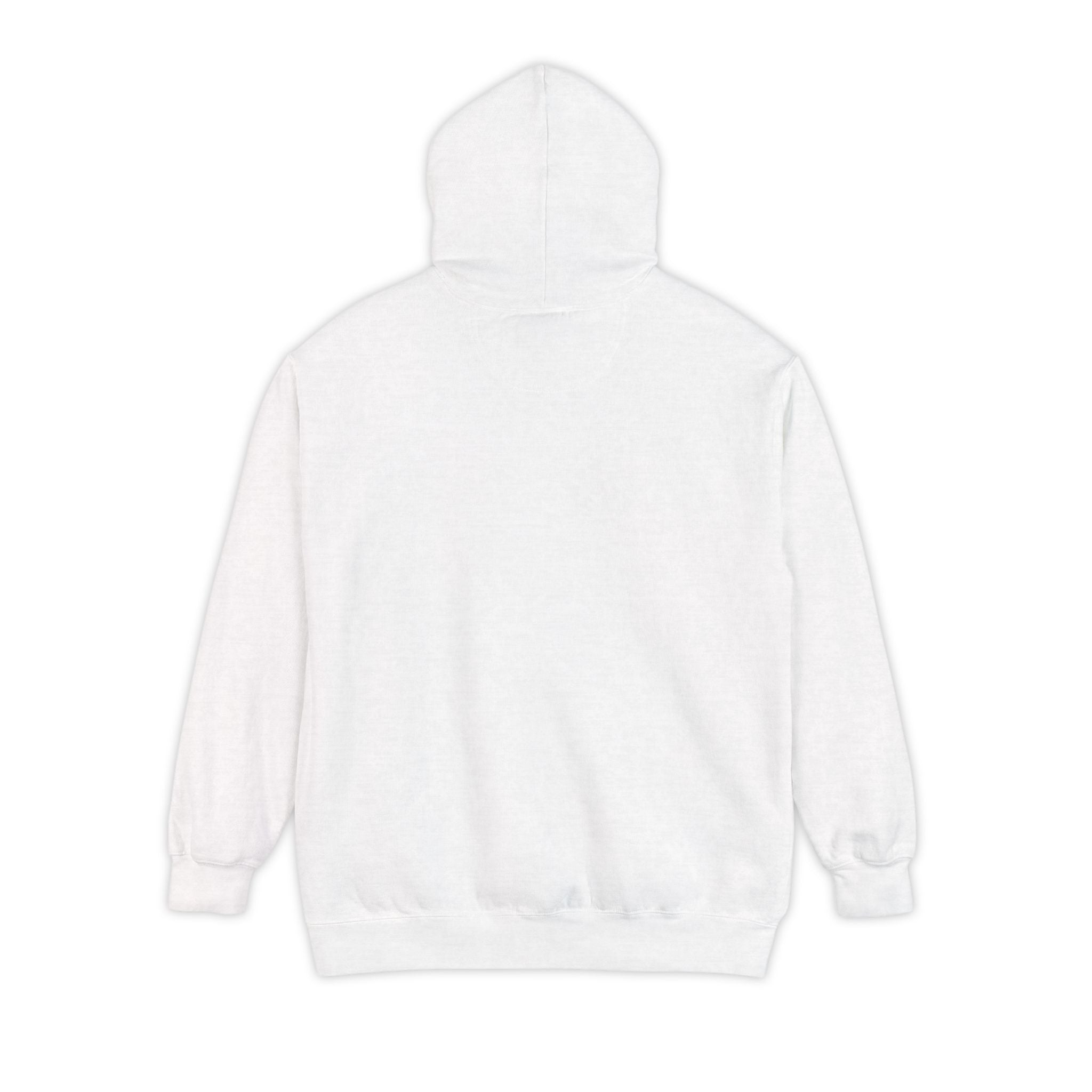 Faded Fish Hoodie