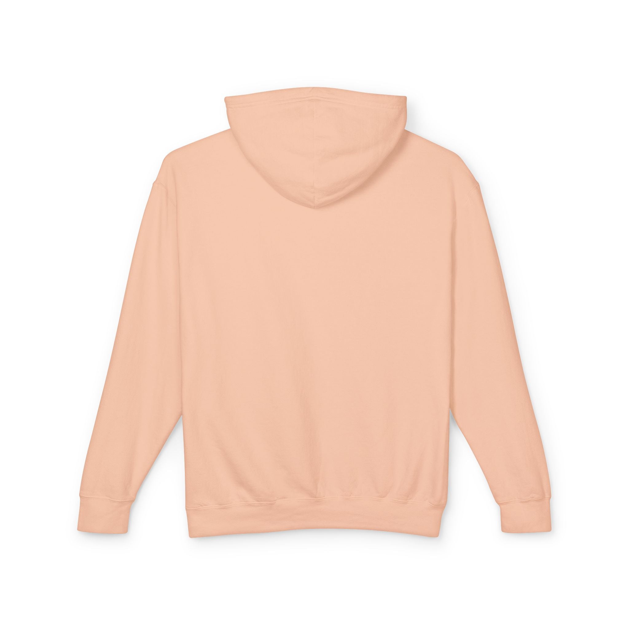 Faded Fish Lightweight Hoodie